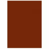 Carton maro aluna prajita, Roast chestnut, 350 gsm, A4, Hunkydory Crafts