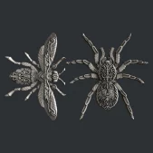 matrita silicon modele insecte