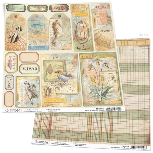 Coala carton scrapbooking etichete diverse, 30 x 30 cm, Ciao Bella