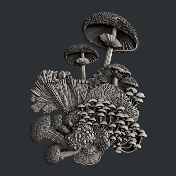 Matrita silicon model ciuperci Mushroom Bloom set 2, marca Zuri Designs