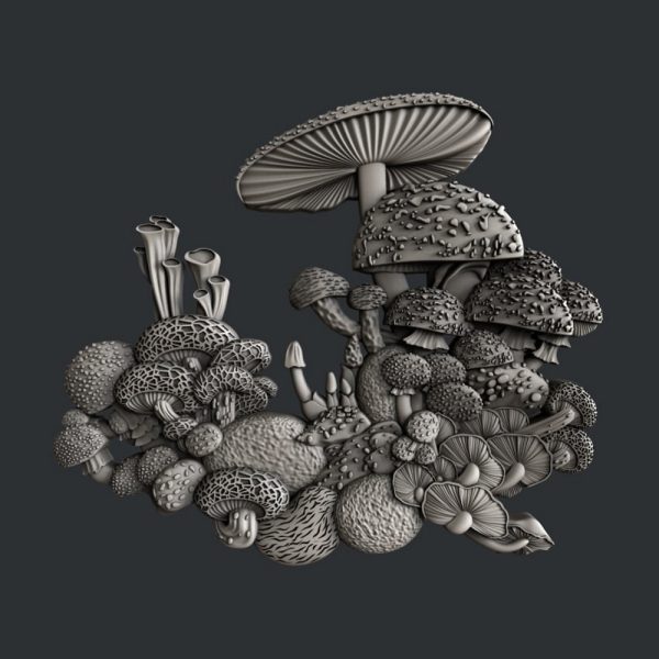 Matrita silicon model ciuperci Mushroom Bloom set 5, marca Zuri Designs