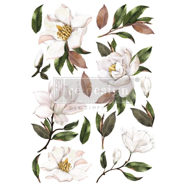 Transfer mobila flori Magnolia grandiflora Redesign with Prima